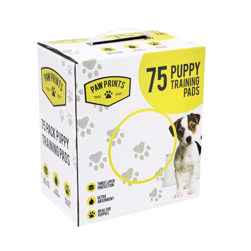 Puppy Pads & Toilet Training